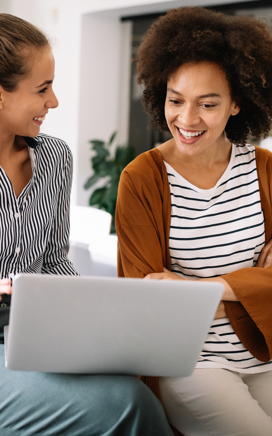 Auth backgournd image